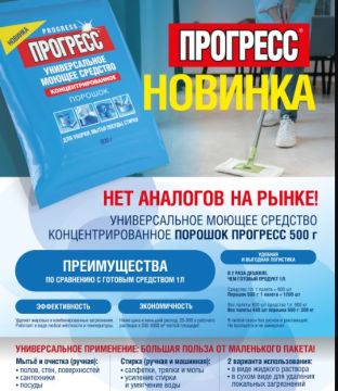 Средство чистящее порошок 500г Прогресс Золушка М-15-1 1/10