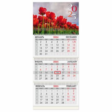 Календарь квартальный 2025 3 блока на 3-х гребнях с бегунком Brauberg Тюльпаны 1/70 