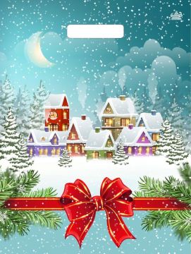 НГ Пакет с вырубной ручкой (31х40)-60 Снежный город 50/500