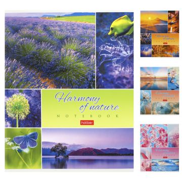 Тетрадь 80л А5 клетка скоба мел картон Гармония природы Хатбер 1/7/70