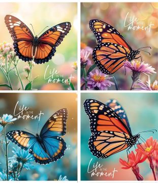 Тетрадь 48л А5 клетка скоба Бабочки Creativiki 8/64