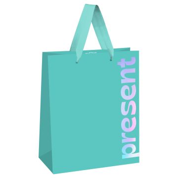 Пакет подарочный бумажный (26х32х12) матовый фольга MESHU Bright present 1/12