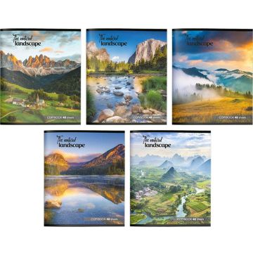 Тетрадь 48л А5 клетка скоба Природа 8/64