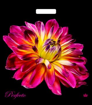 Пакет с вырубной ручкой (42х48)-90 Перфекто Герцогиня Тико 25/300