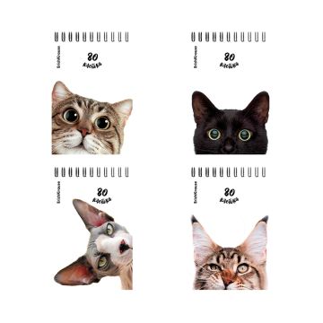 Блокнот 80л А6 100х146мм клетка на гребне ErichKrause Котики 1/4/64