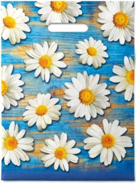 Пакет с вырубной ручкой (30х40)-35 Полли 50/1000