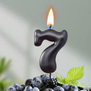 Свеча для торта Мокрый асфальт Цифра 7 1/30