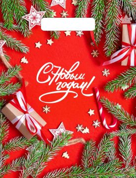 НГ Пакет с вырубной ручкой (23х30)-30 Цвет Нового года 100/3000