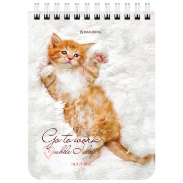 Блокнот 40л А6 108х145мм клетка гребень Милые котята BRAUBERG 1/6/96