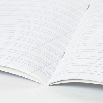 Тетрадь 12л линия косая с полями офсет ЗЕЛЕНАЯ обложка ПЗБМ 1/300