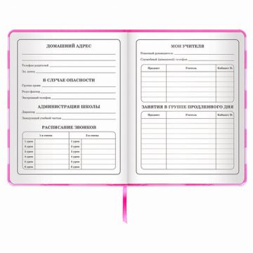 Дневник 1-4 класс 48л, кожзам (твердая с поролоном), печать, аппликация, ЮНЛАНДИЯ, АВАКОТ, 105938