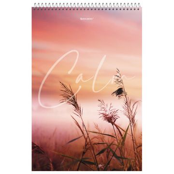 Блокнот 80л А4 198х297мм клетка гребень жесткая подложка BRAUBERG Calm 1/4/24 (Клиент)