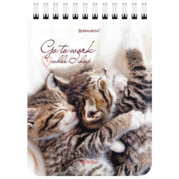Блокнот 40л А6 108х145мм клетка гребень Милые котята BRAUBERG 1/6/96