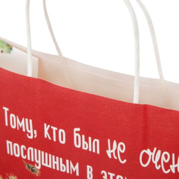 НГ Пакет подарочный крафтовый (28х24х14) Котики ЗОЛОТАЯ СКАЗКА 1/24/144