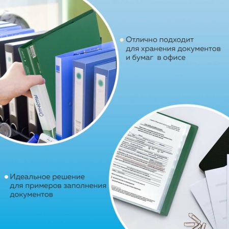 Папка  40 вклад. BRAUBERG Стандарт, зеленая, 0,7мм 1/30