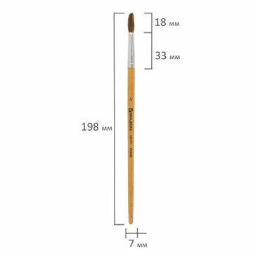 Кисть пони круглая №5 BRAUBERG 1/30/1800