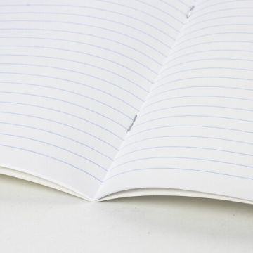 Тетрадь 24л линия зеленая EXTRA BRAUBERG 1/20/160 (Клиент)