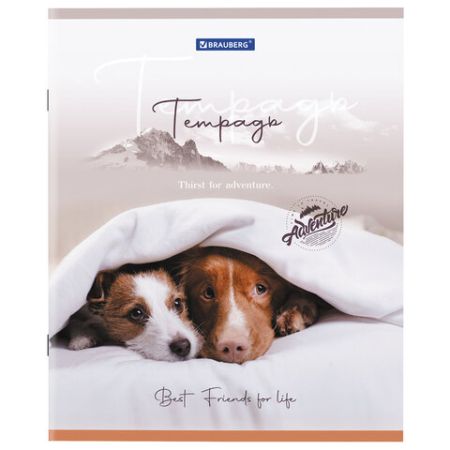 Тетрадь 48л А5 клетка Best Friends BRAUBERG 10/100