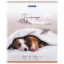 Тетрадь 48л А5 клетка Best Friends BRAUBERG 10/100